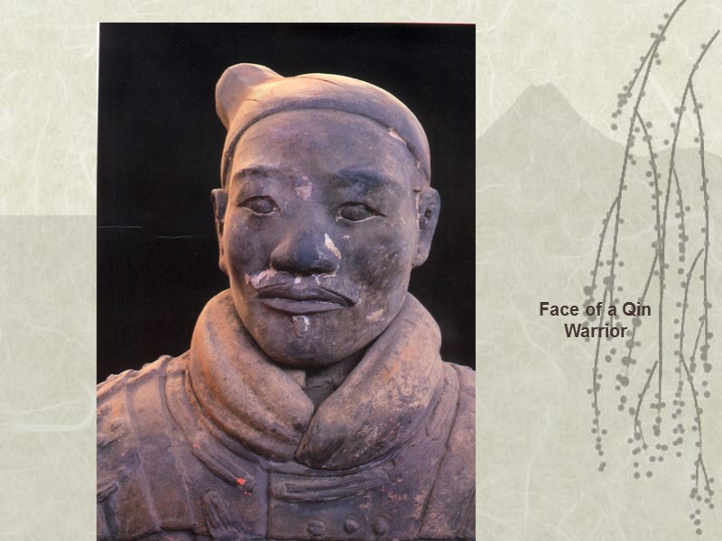 Face of a Qin Warrior